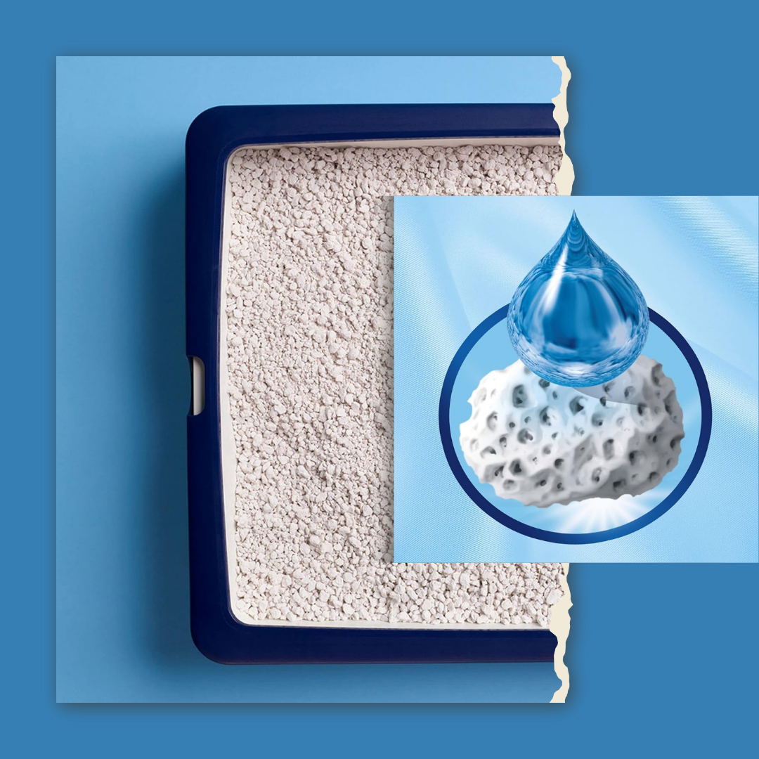 CATSAN Hygiene Plus Non-Clumping Cat Litter – 20L Natural, Ultra-Absorbent & Odor Control for Adult Cats & Kittens